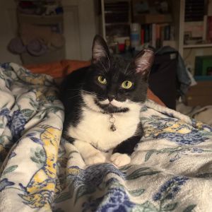 Hi Im Stevie Budd Named after a Schitts Creek character who is more on the quiet side I fit the