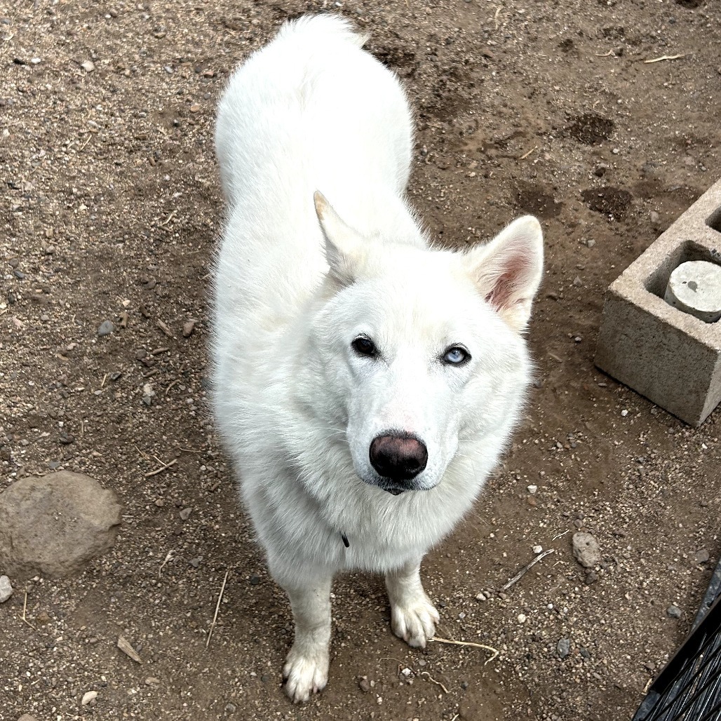 Xander - Handsome, Curious, Funny Boy!