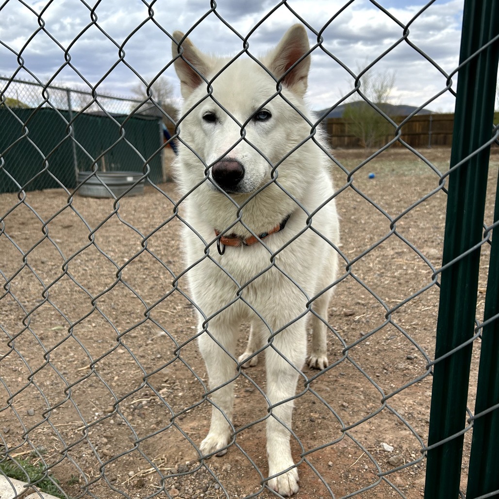 Xander - Handsome, Curious, Funny Boy!