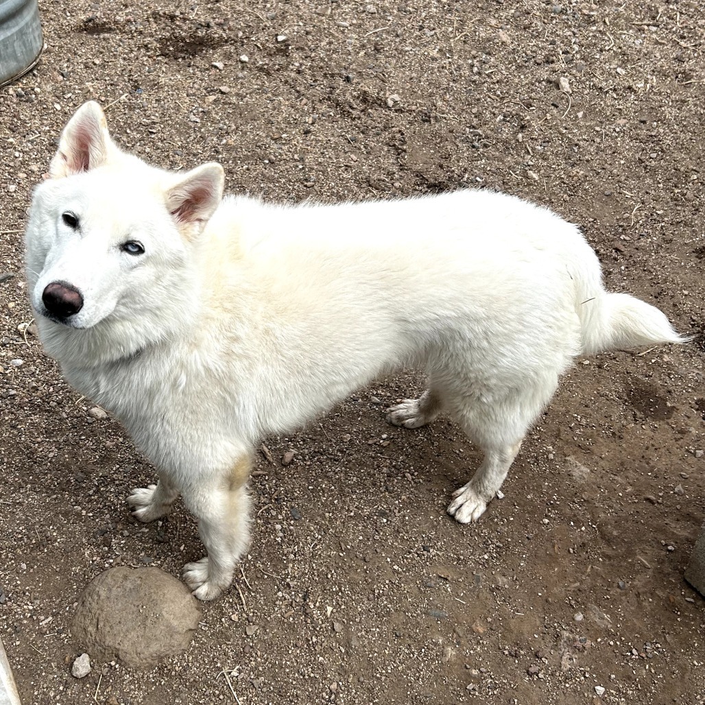 Xander - Handsome, Curious, Funny Boy!