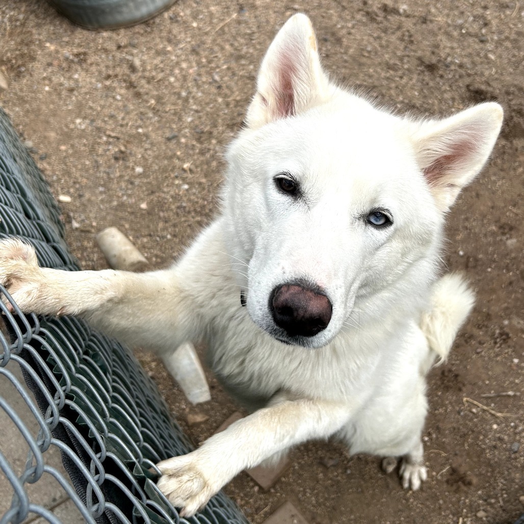 Xander - Handsome, Curious, Funny Boy!