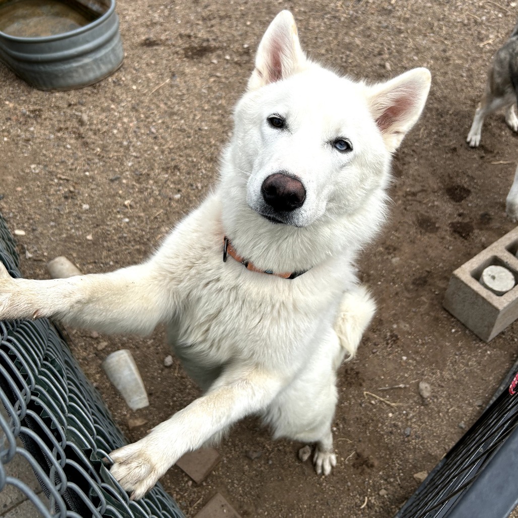 Xander - Handsome, Curious, Funny Boy!
