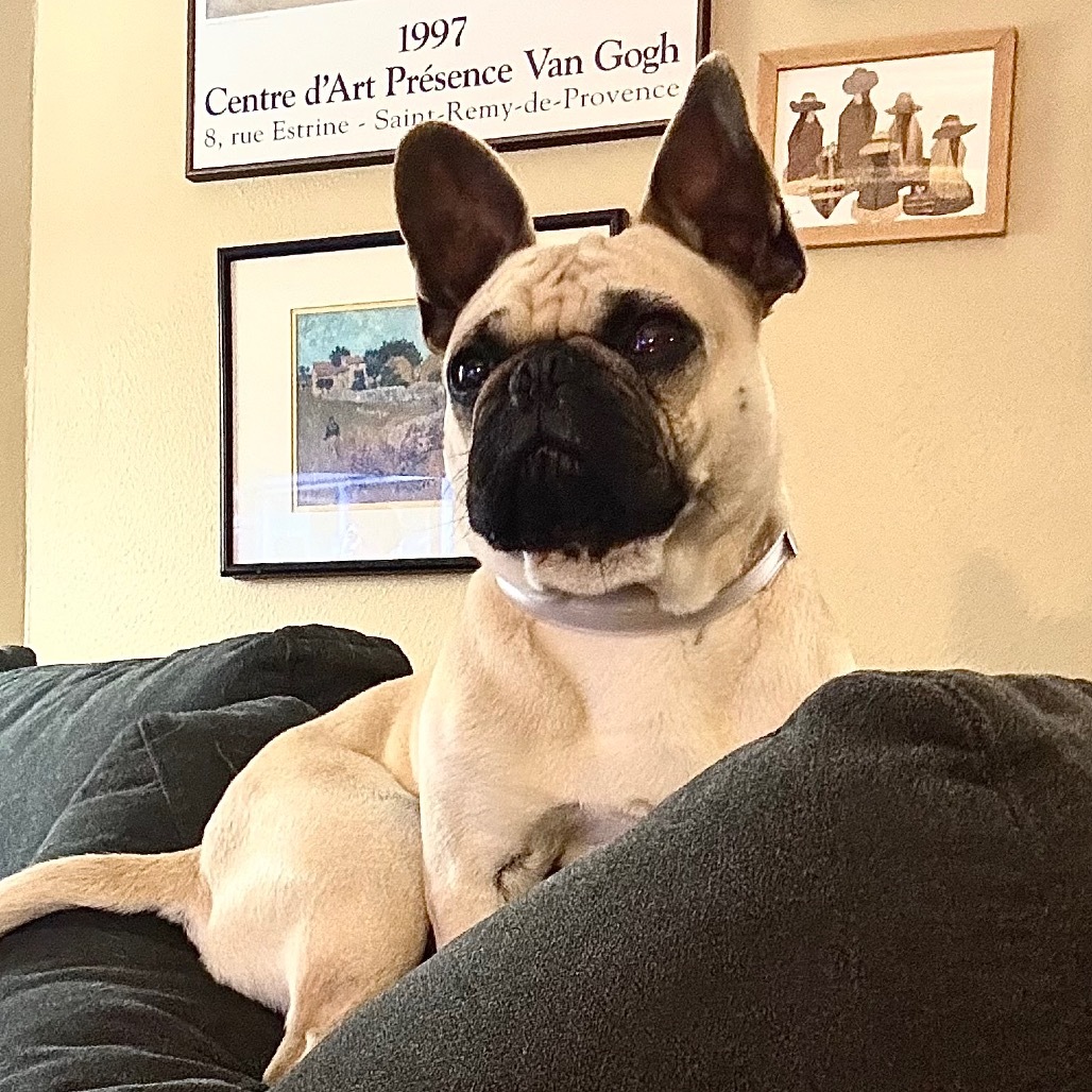 Willis
