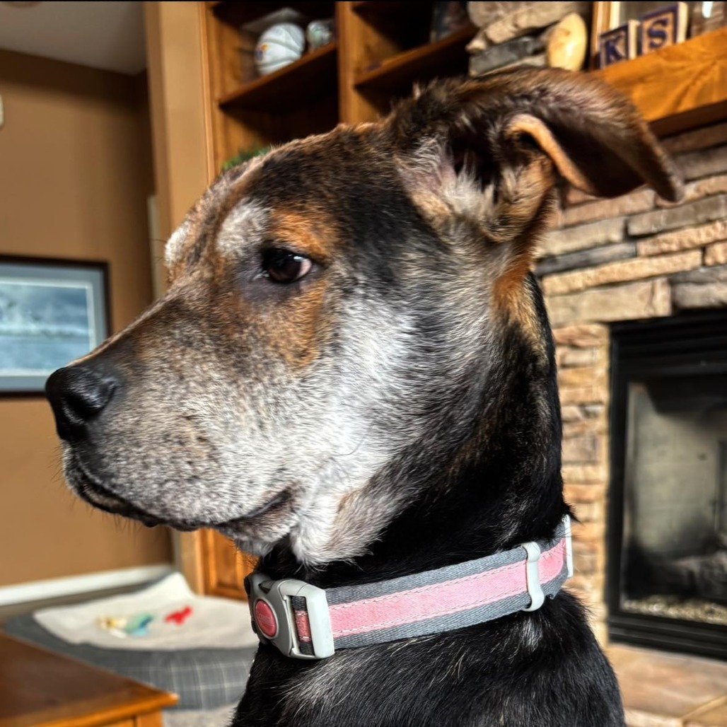 Tilly