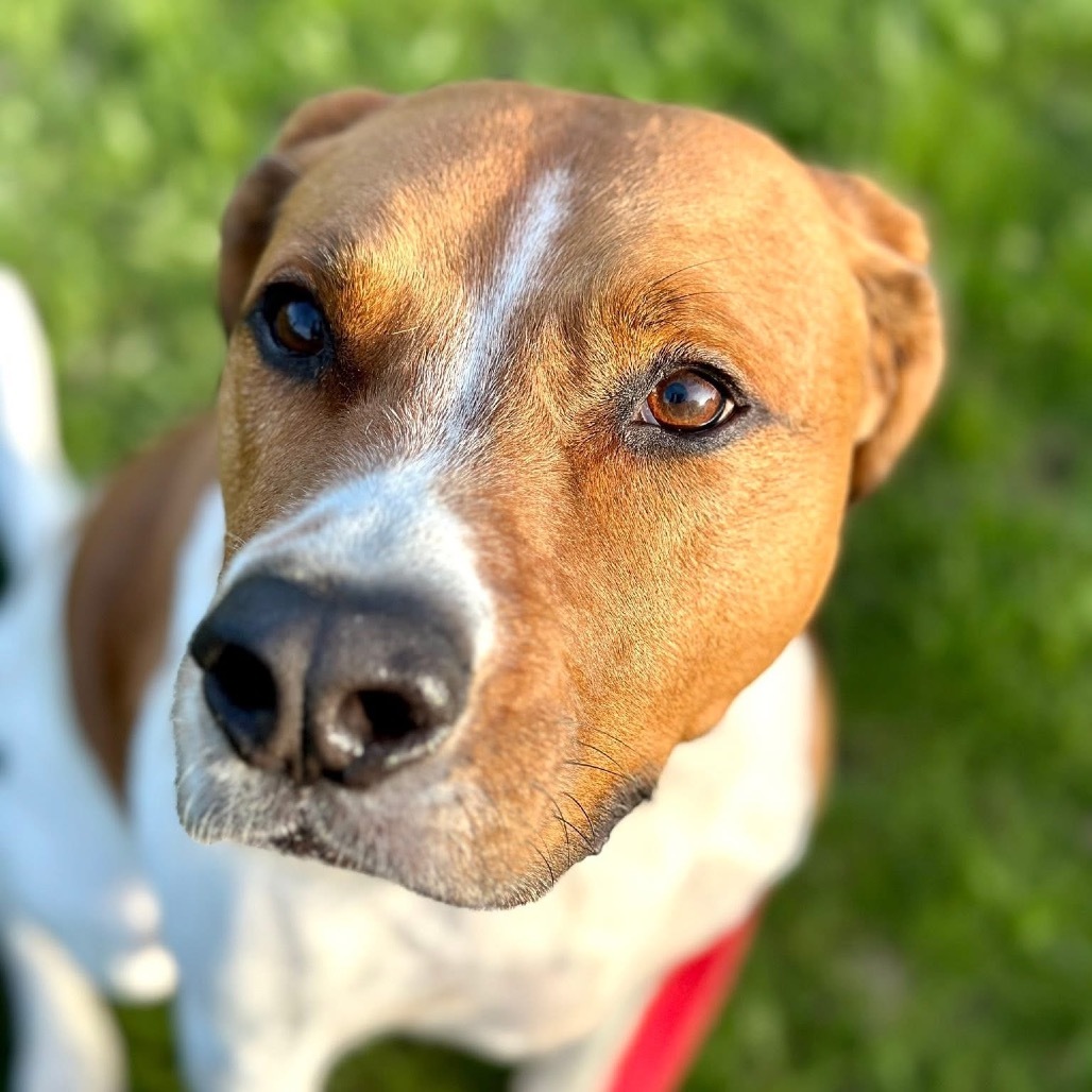 George