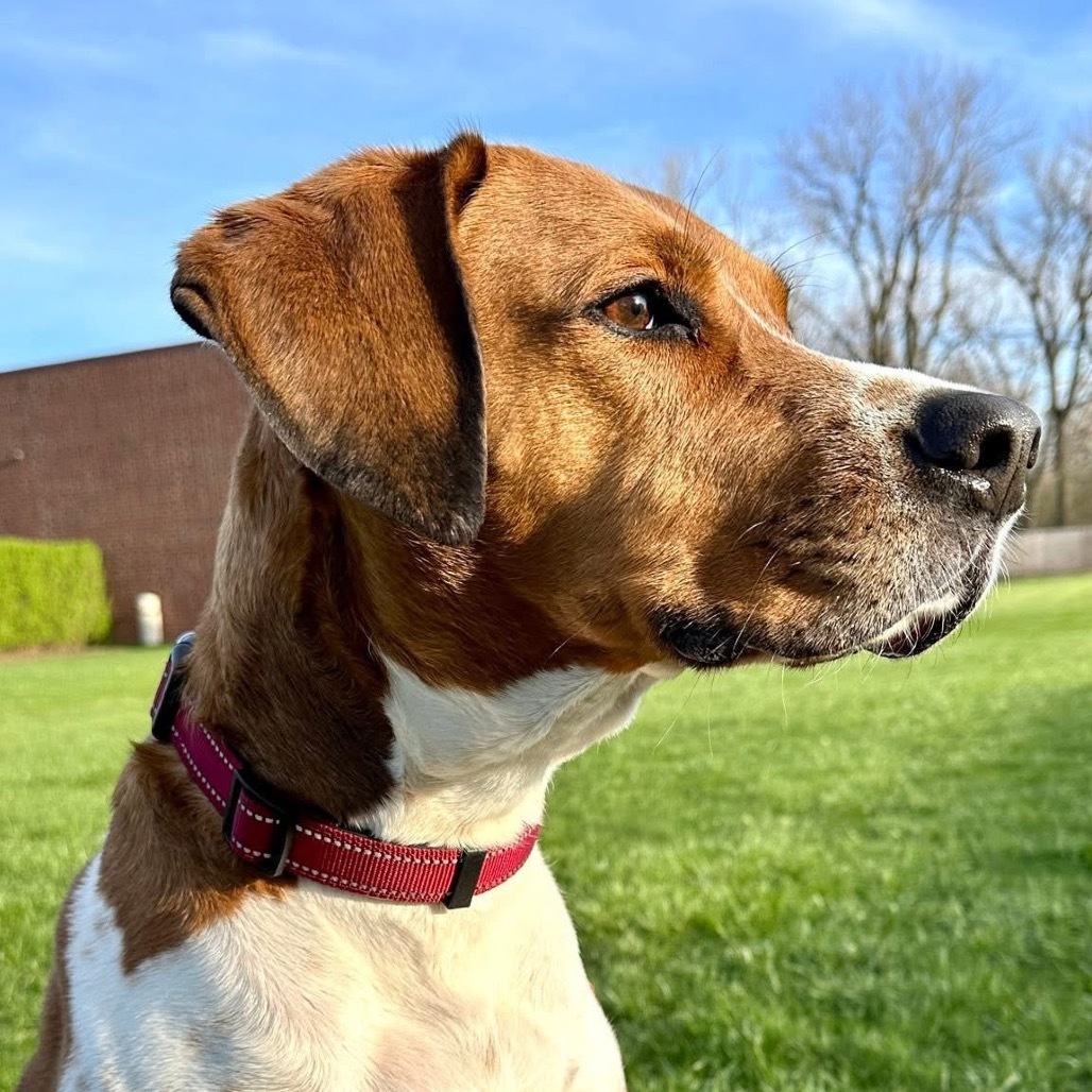 George