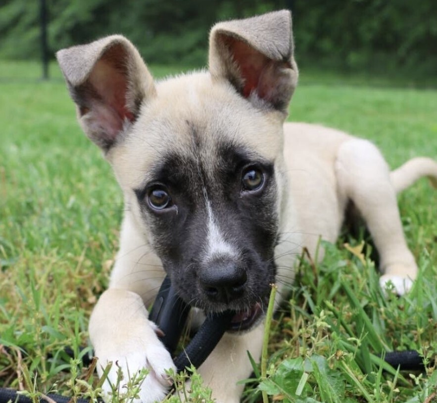 Baby Otto