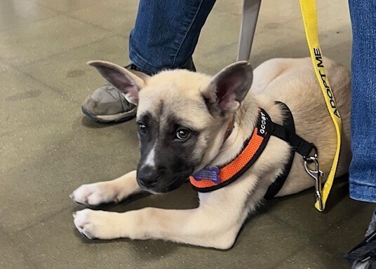 Baby Otto