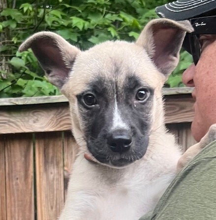 Baby Otto