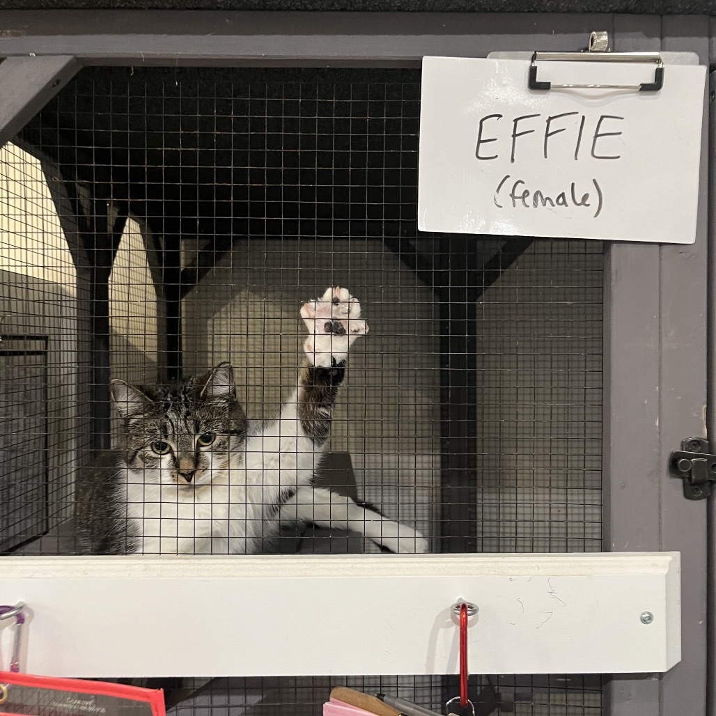 Effie