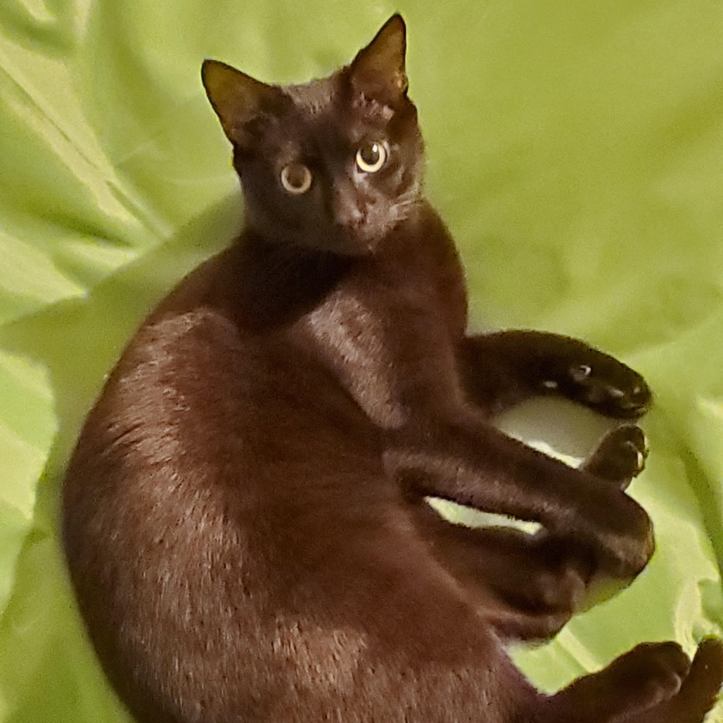 Rudra