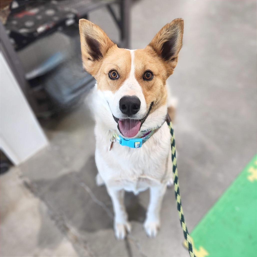 Nora