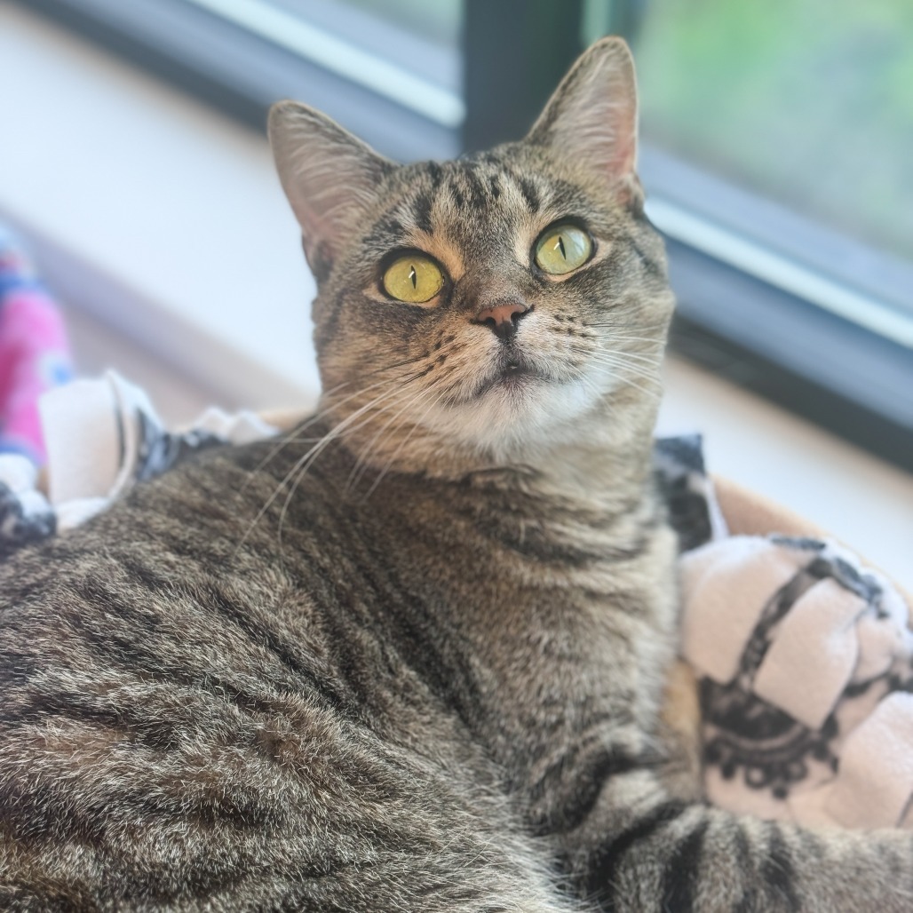 Laverne