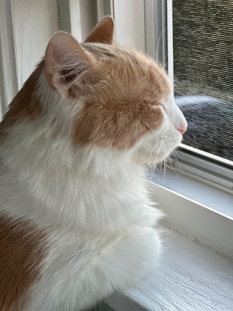 Sweet Cheeks Charlie