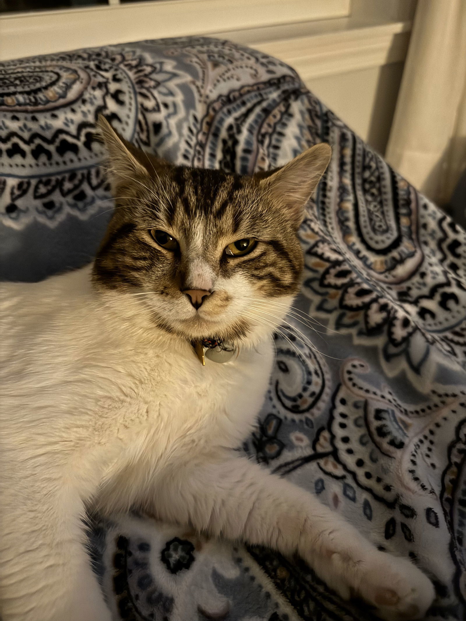 Patches