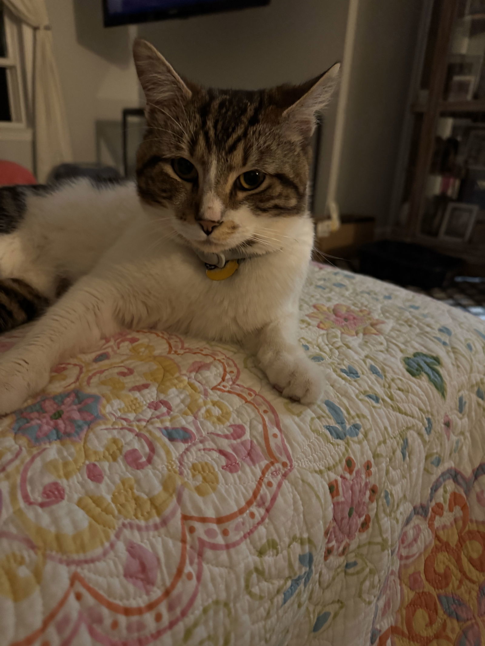 Patches