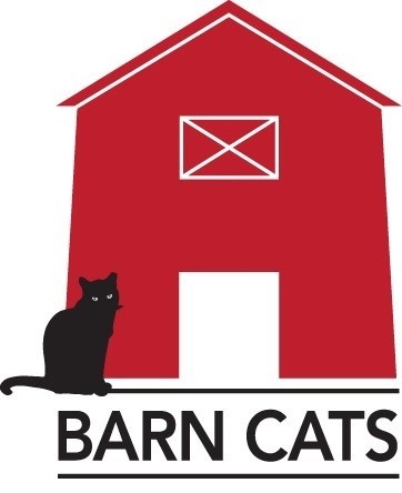 Barn Cat