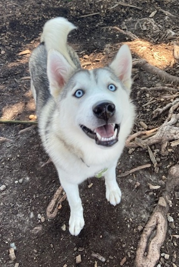 Shadow-Call 402-441-4490 To Meet Me!