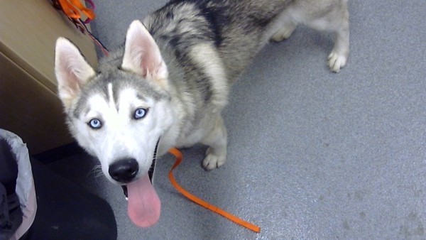 Shadow-Call 402-441-4490 To Meet Me!