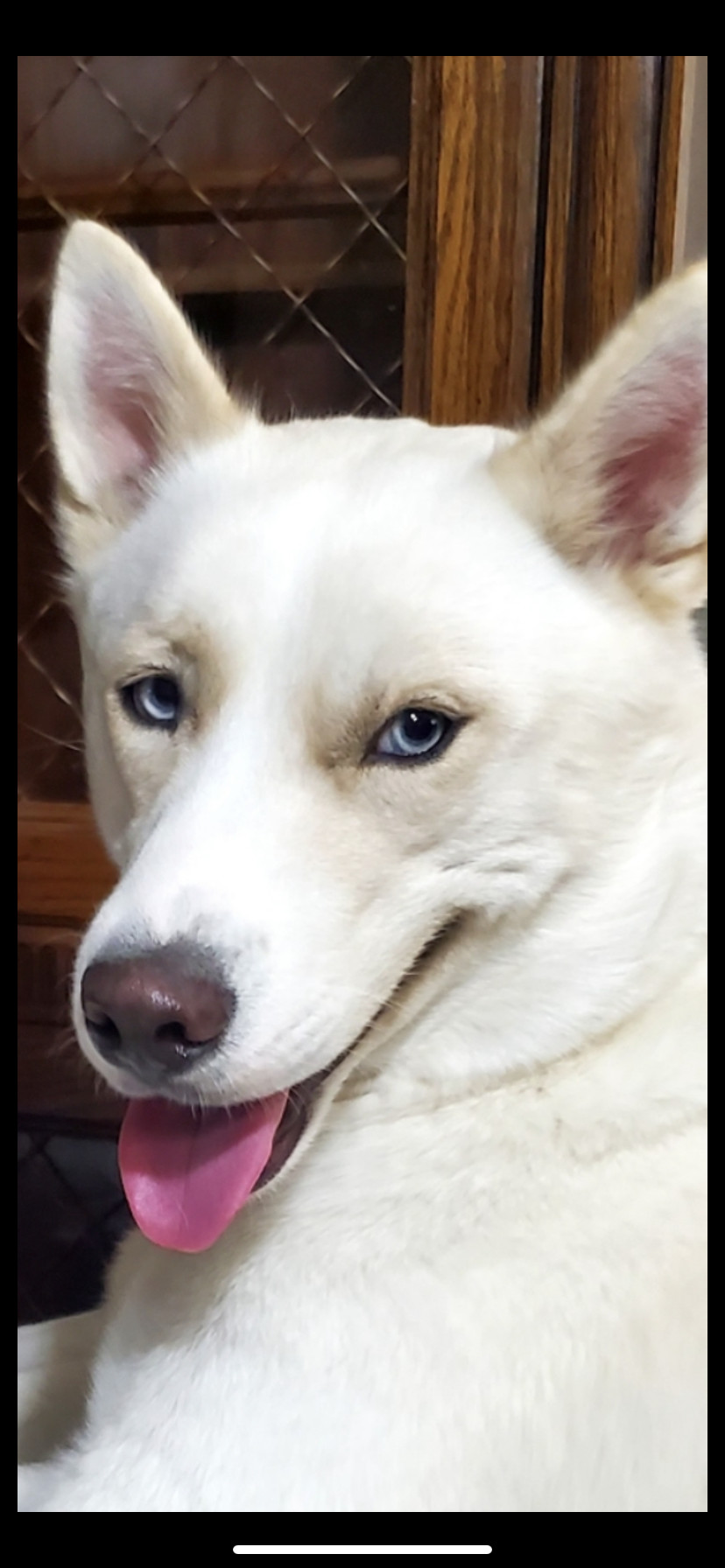 Milo