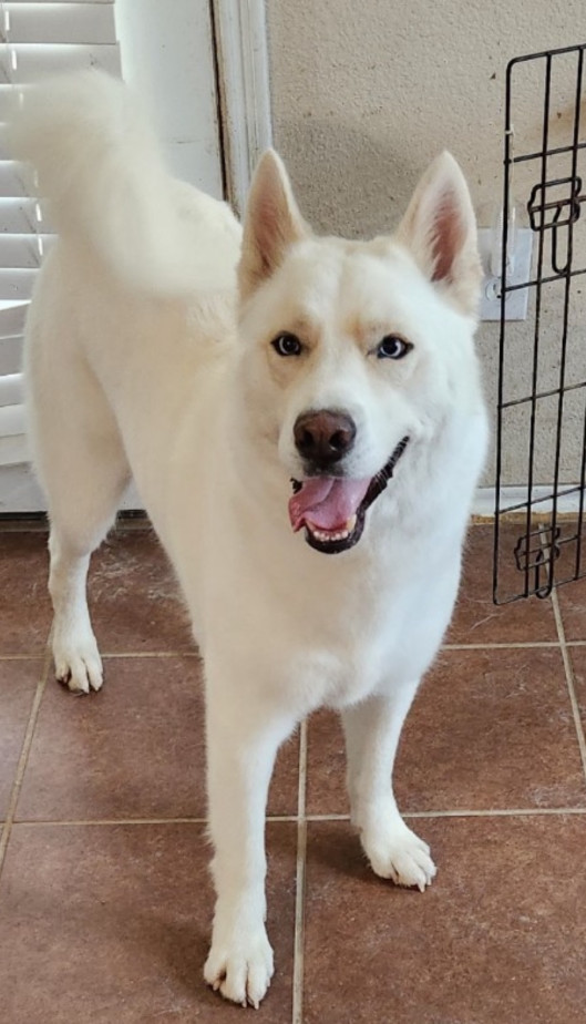 Milo