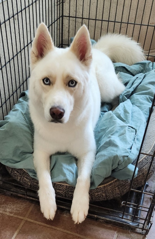 Milo