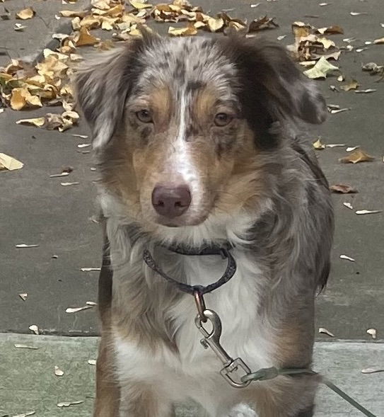 Jenny