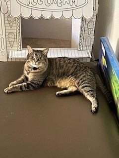 Tiger BONDED to Precious