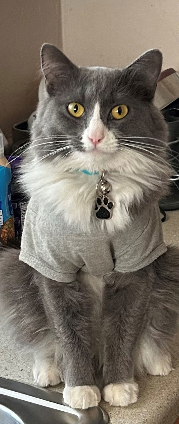 Precious BONDED to Tiger