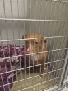 Lucy - SPONSORED photo 2
