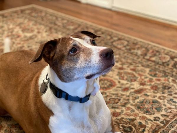 Cocoa  Cross Post thumbnail 2