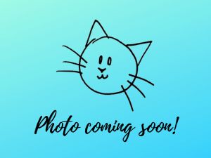 For more information about our adoptable cats please visit httpswwwwholecatandkaboodlecomadop