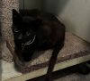 Coraline * photo 2