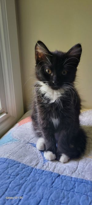 Maybelle, Baby Female unknown