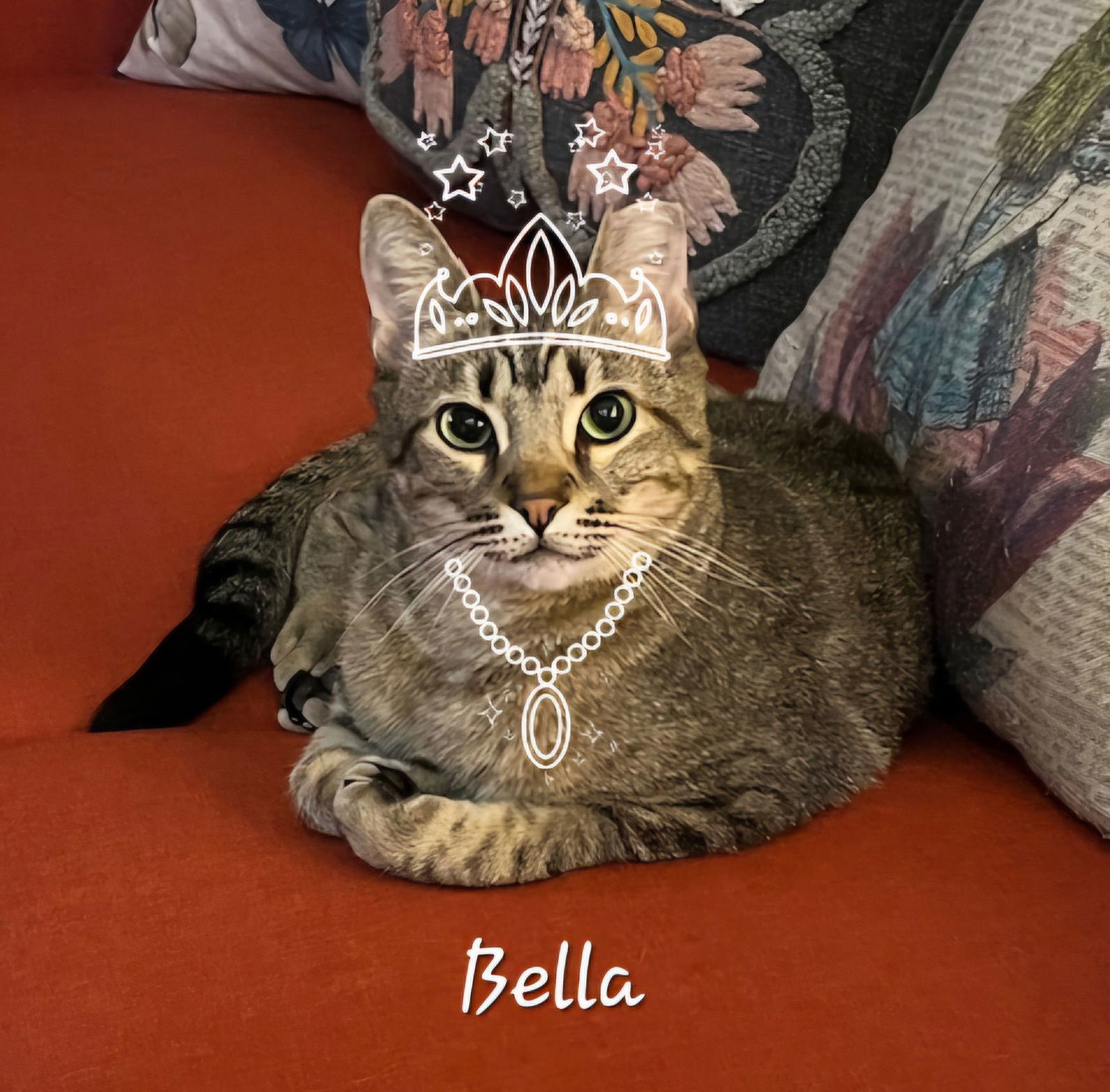 Bella #princess-warrior