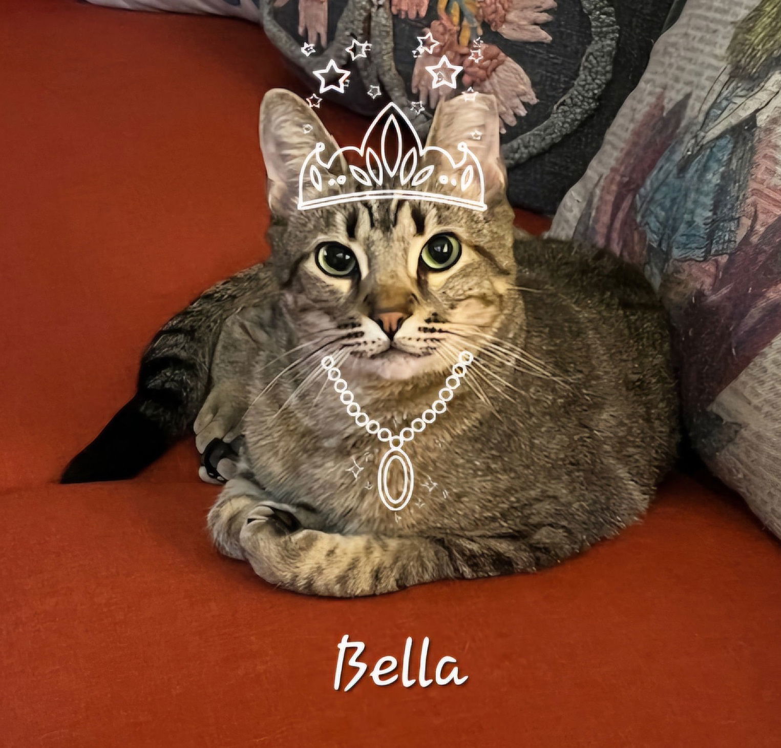 Bella #princess-warrior