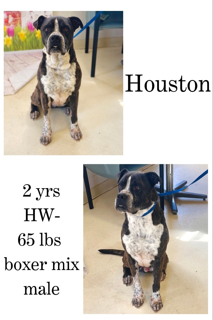 Houston