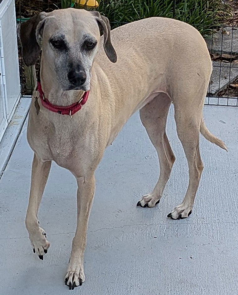 Arya - *FH -Training Camp Grad