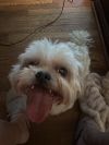 Buccee photo 5