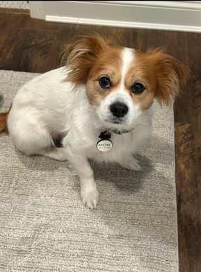 Archie