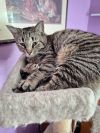 Tabitha photo 2
