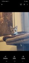 Tabitha photo 3