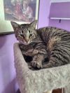 Tabitha photo 4