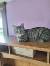 Tabitha photo 5