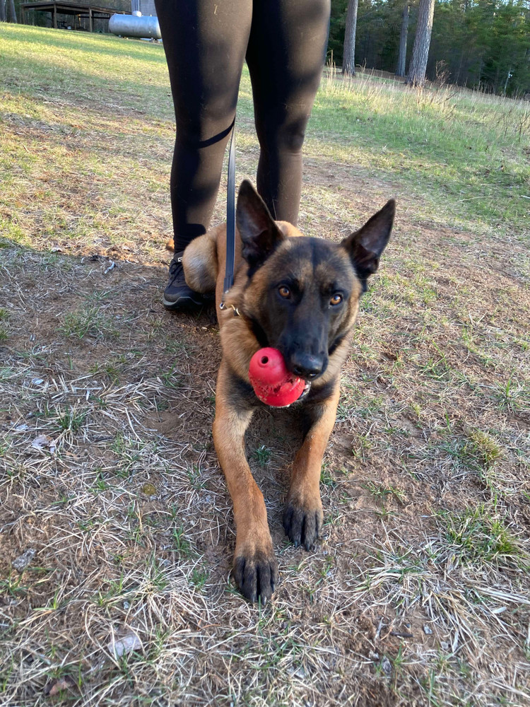 Stan the Man - located in IN