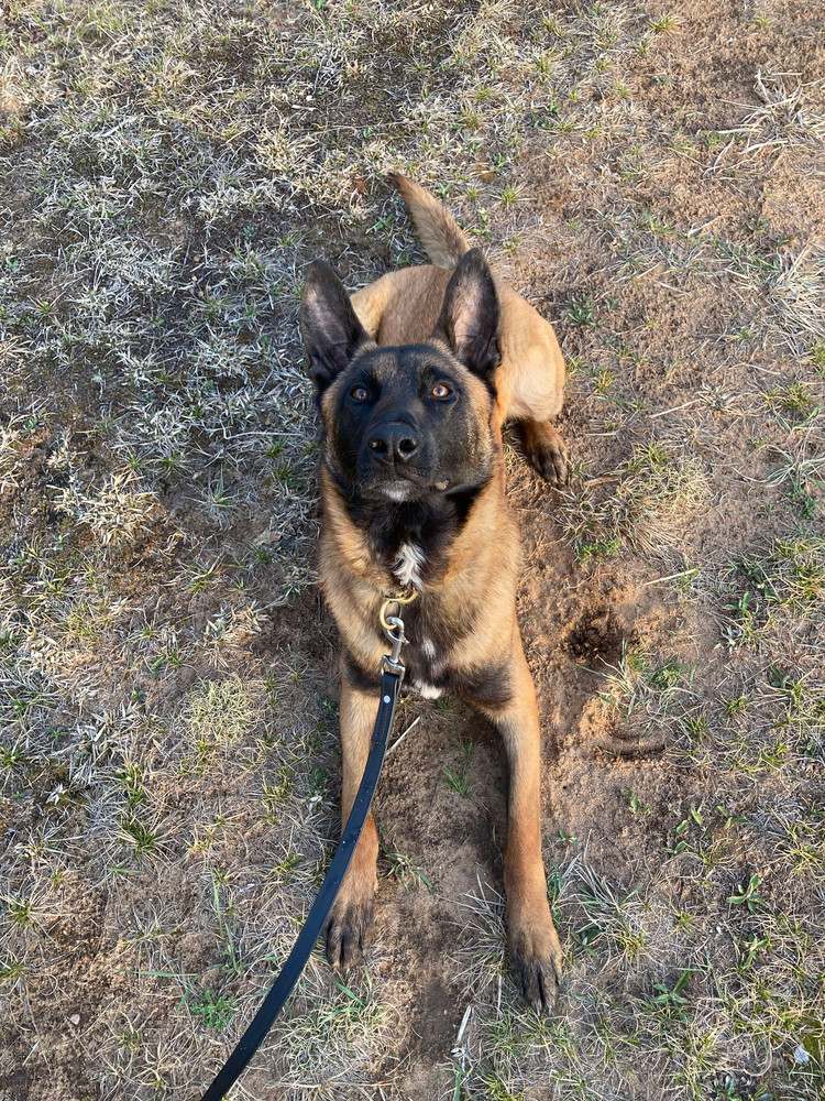 Stan the Man - located in IN
