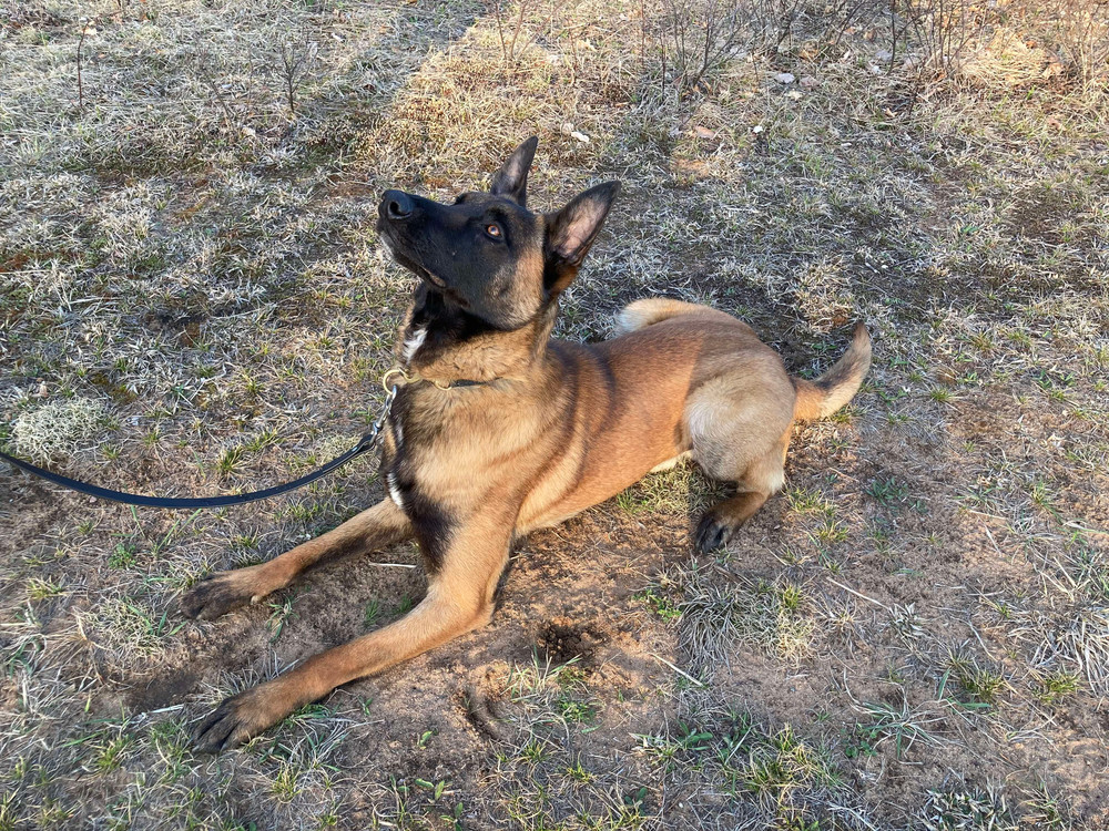 Stan the Man - located in IN