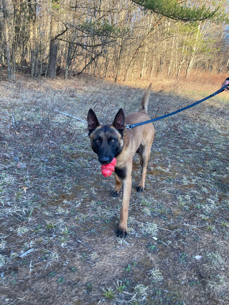 Stan the Man - located in IN