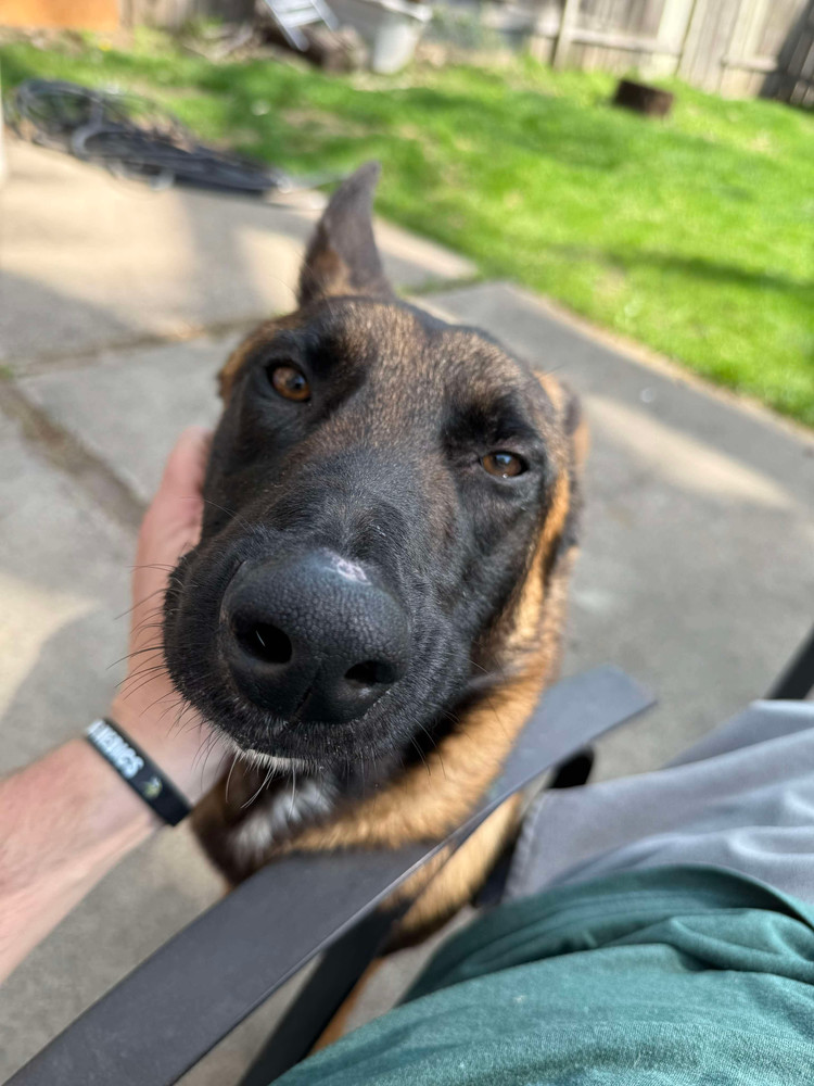 Stan the Man - located in IN