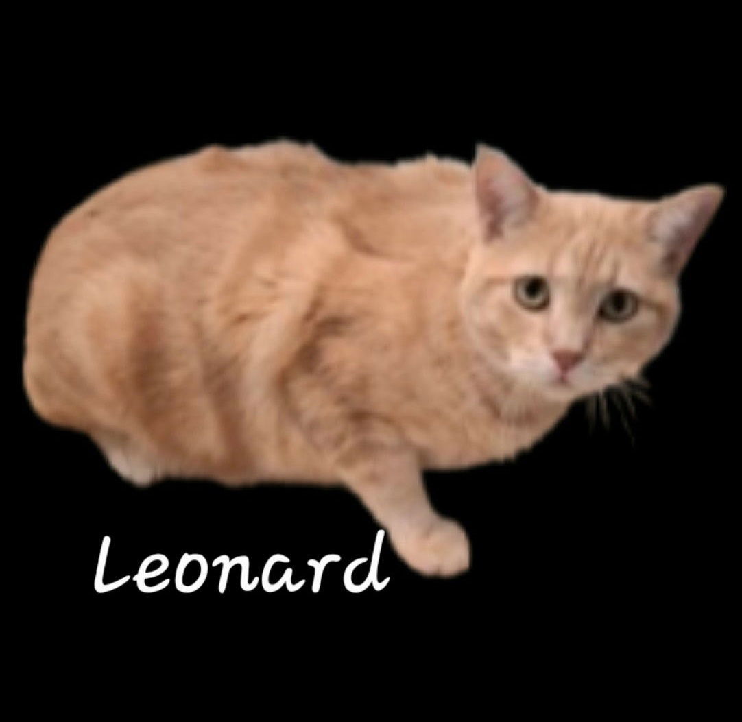 Leonard #our-soft-loaf